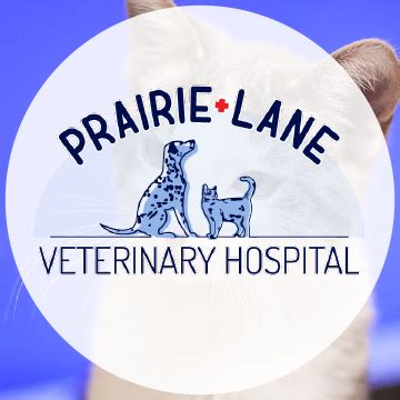 prairie lane veterinary hospital|About Our Hospital in Omaha .